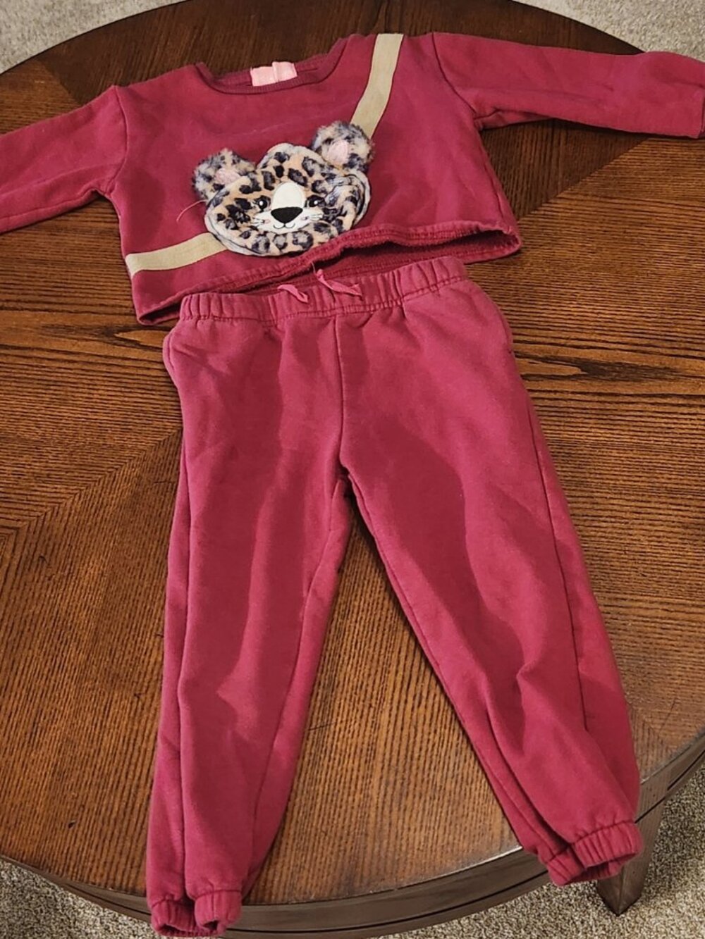 Girls' 4T/5T Fall and Winter bundle - Picture 11 of 12